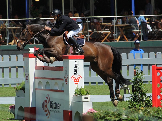 外的观众情 外的观众情