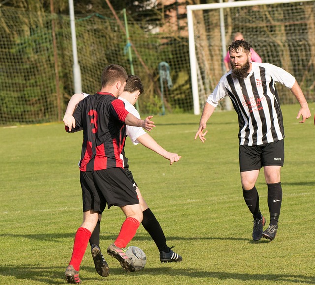 的国家对抗 的国家对抗